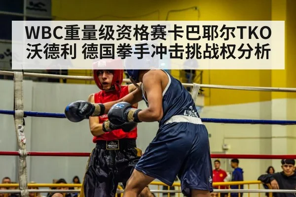 WBC重量级资格赛卡巴耶尔TKO沃德利 德国拳手冲击挑战权分析